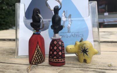 Soutien à Elewa-Africa