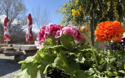 Une saison haute en couleurs!