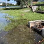 21 août: grillades les pieds dans l'eau... l'eau a inondé la plage