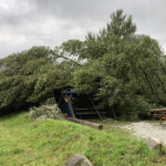 16 août, le saule qui ombrageait la terrasse n'a pas résisté à la tempête qui s'est abattue sur le Chablais