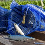 ... déchet insolite... c'est pour aller à la pêche aux moules, moules, moules!?